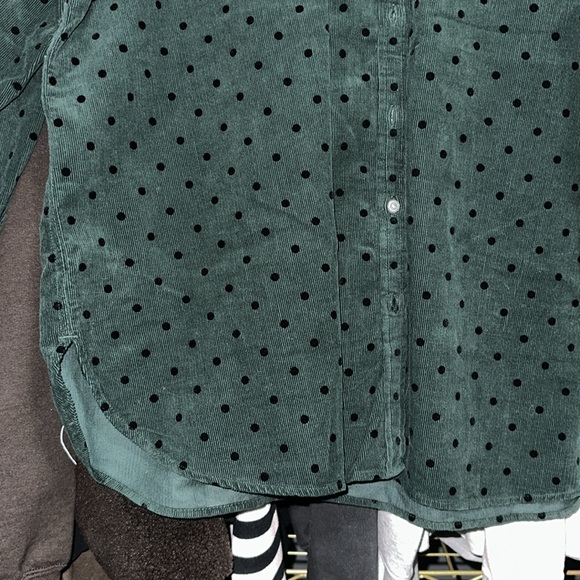 LOFT - Velvet Dot Corduroy Everyday Shirt - Picture 5 of 12